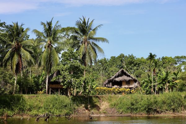 Houses in Ramu River Papua New Guinea